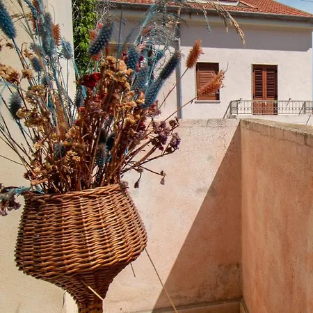 L'ulivo *