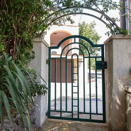 L'ulivo